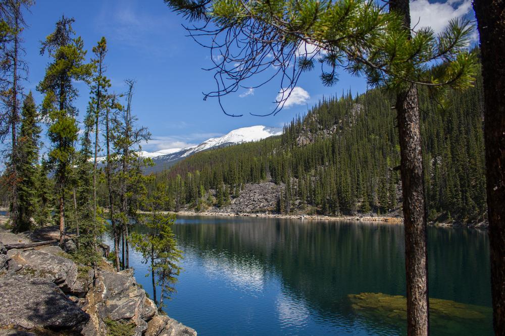 Horseshoe Lake - 25 minutes by car from Jasper