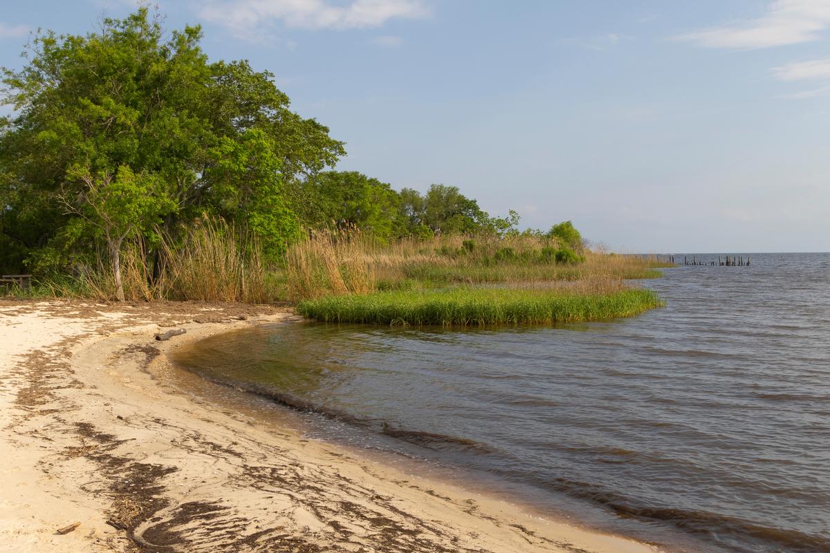 Discover nature trails and admire stunning waterfront sights.