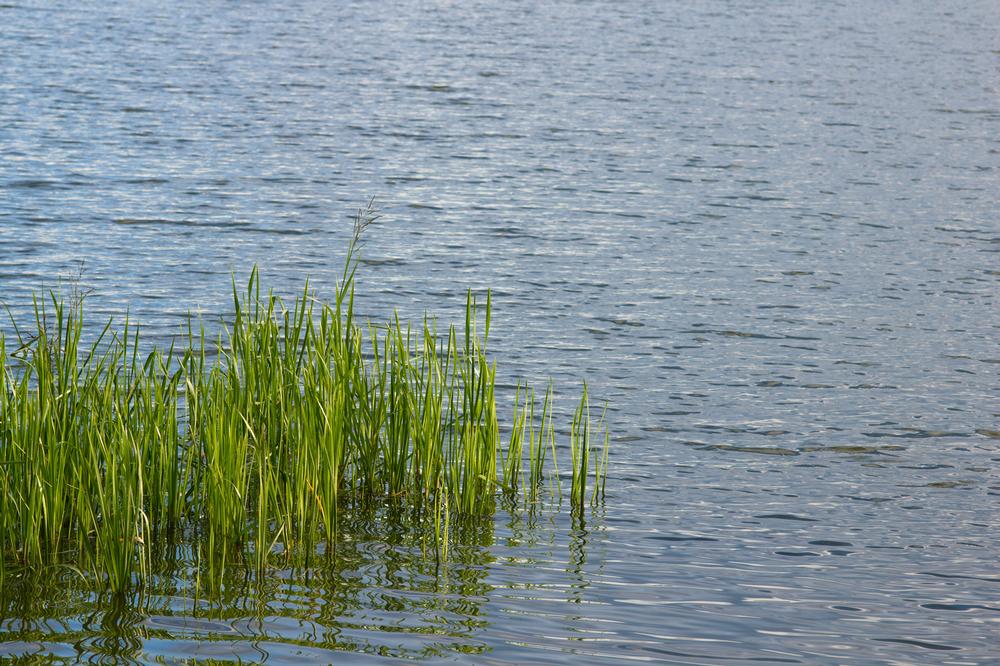 Chapman Lakes - 1 hour west of Fort Wayne