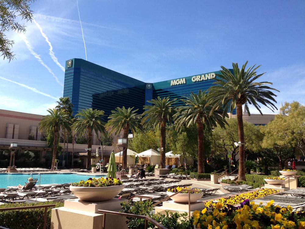 Feel the Energy: Dive Into Nonstop Action at MGM Grand’s Pool Complex