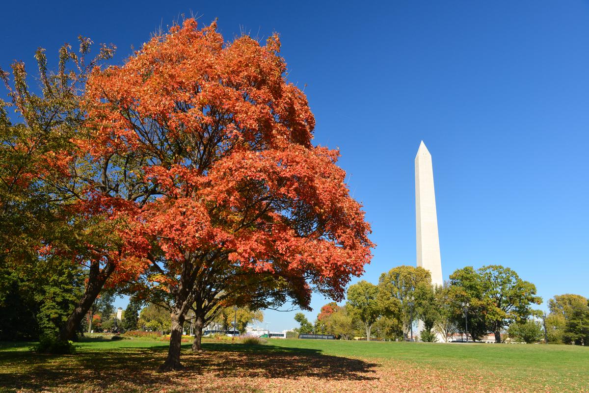 DC Layers: Old Stones, New Stories
