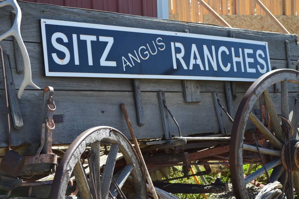 If You’re Ready for Big Sky Adventures, Book 320 Guest Ranch