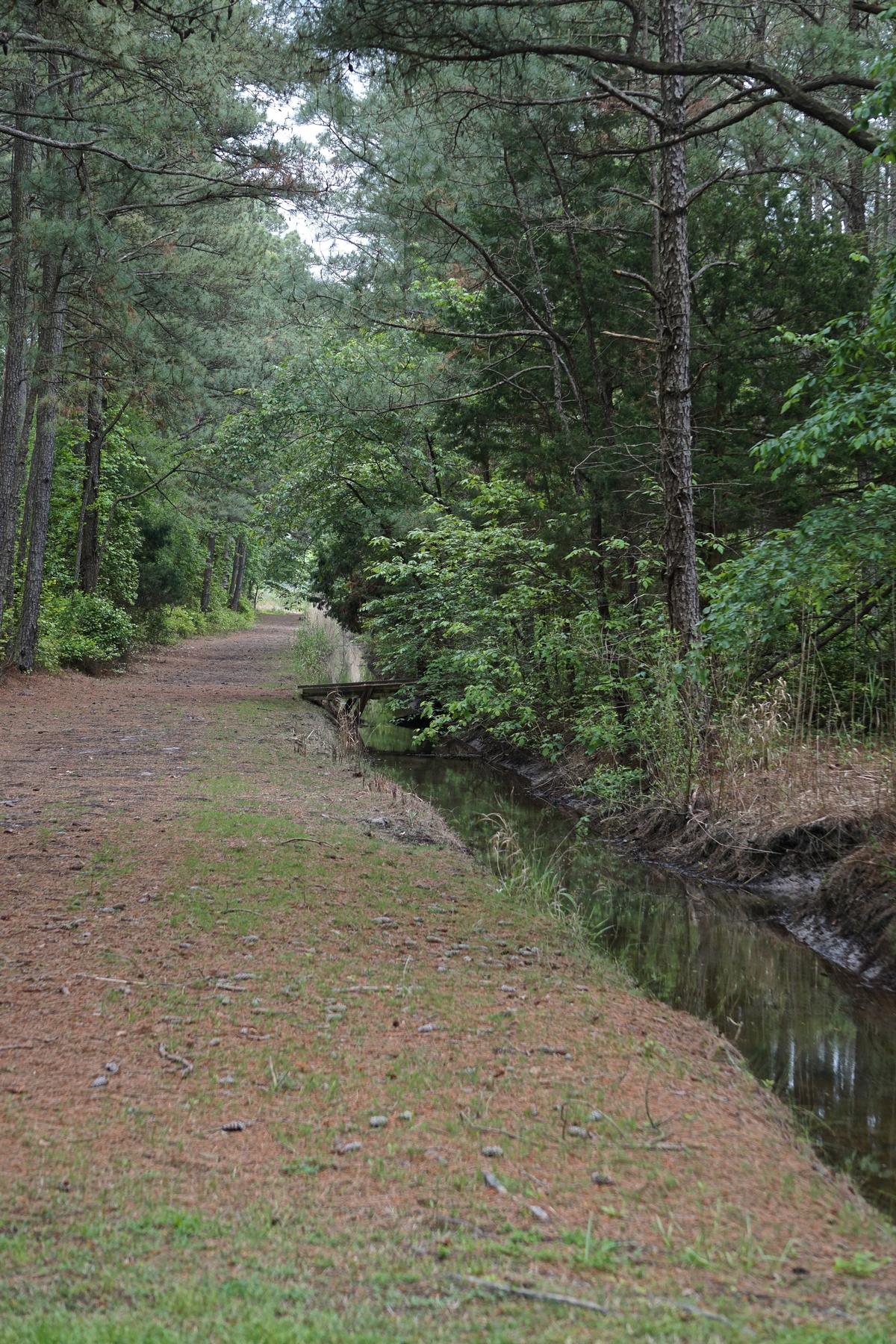 The White Tail Trail for hiking and walking in Janes Island State Park, Maryland