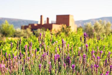 Morocco Hotels: L’Amandier Hotel, Marrakech