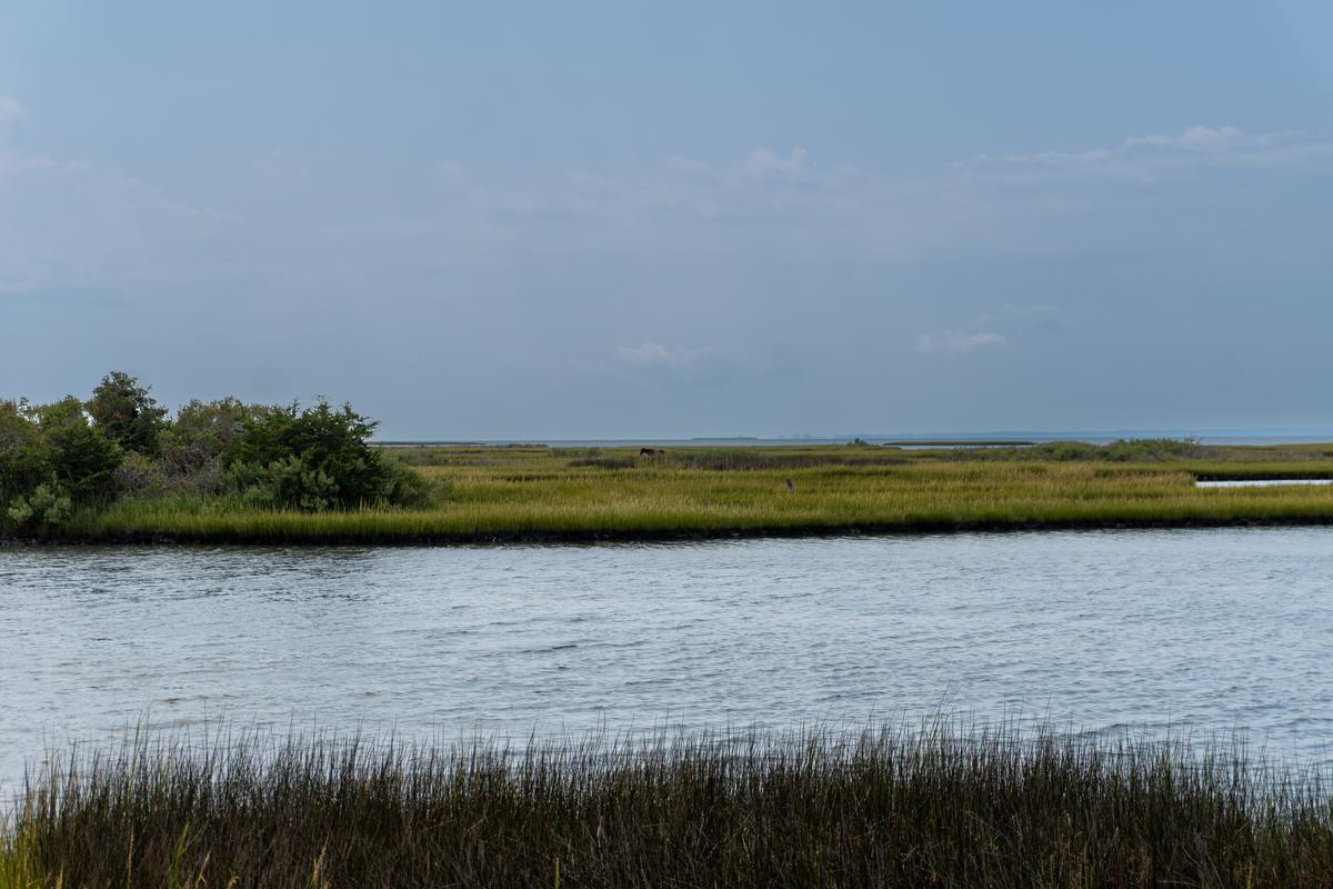 Peaceful waters in Assateague Island National Seashore