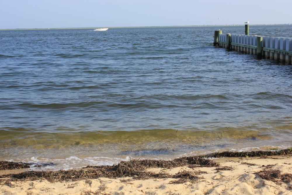 Have a picnic at Breezy Point Beach