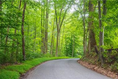 Susquehanna State Park | Maryland State & National Parks