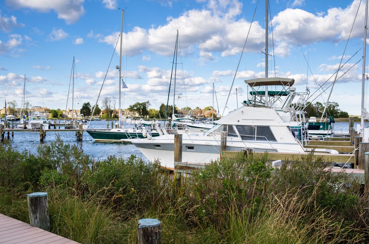Yachts in St. Michaels