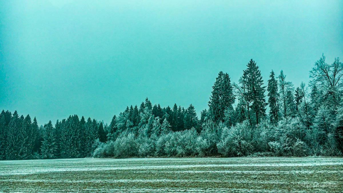 I took this photo of winter landscape in Massachusetts