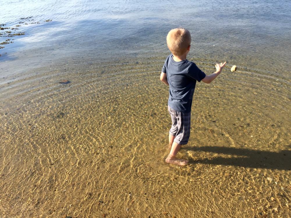 Joseph Sylvia State Beach - 10-minute drive from Edgartown