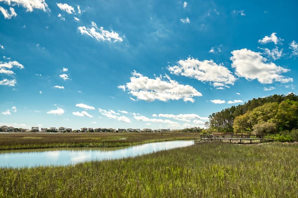 Relax on quiet beaches on Pawleys Island