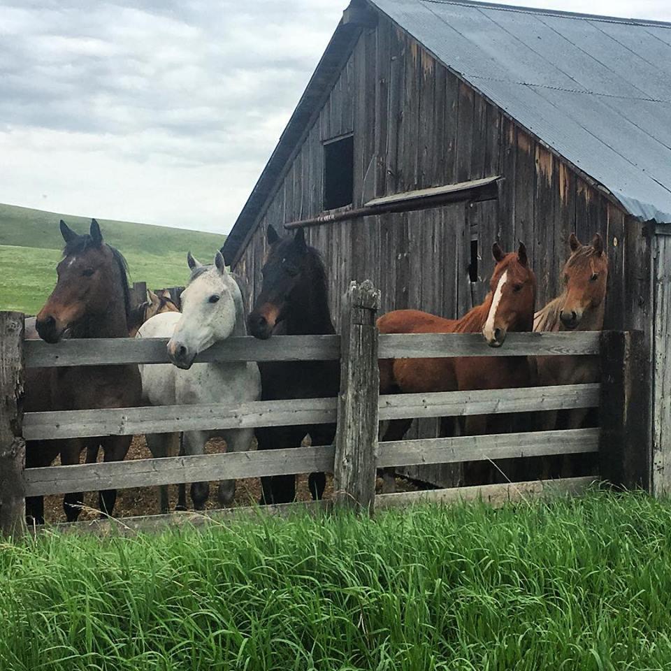 Sign Up the Kids for Wild Fun at JJJ Wilderness Ranch