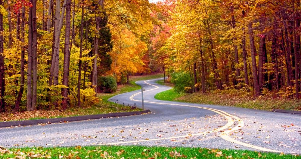Germantown: Parks, Quiet Trails & a Crab Cake Detour