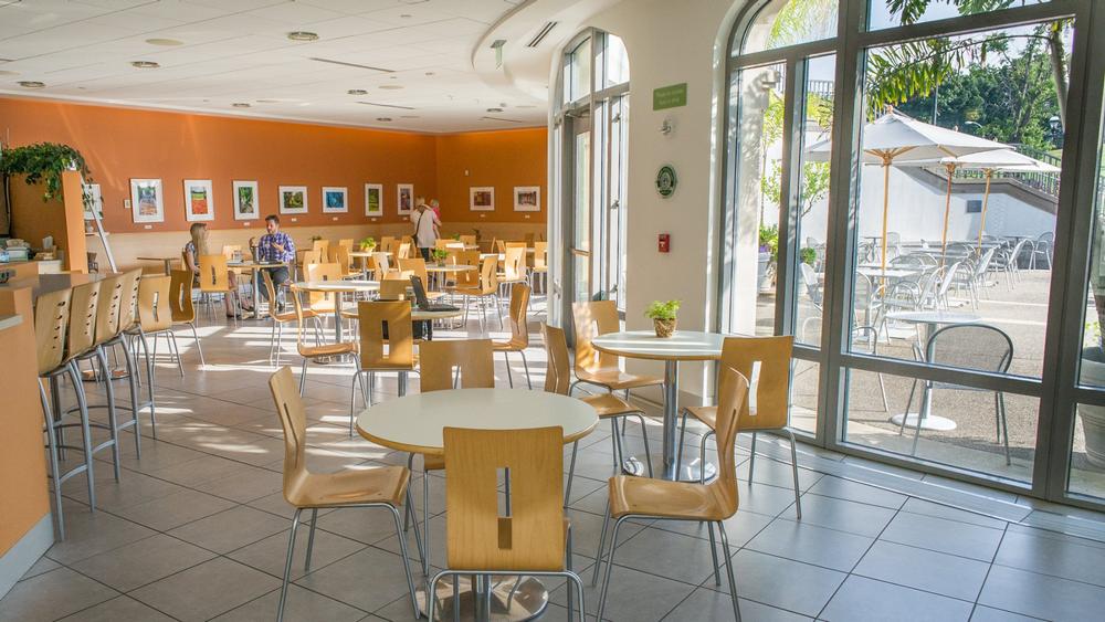 Go Green at Cafe Phipps, Pittsburgh’s Phipps Conservatory