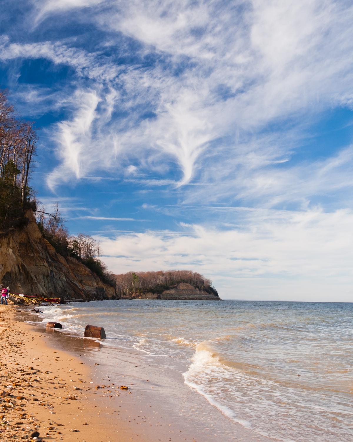 Beach and cliffs on the Chesapeake Bay at Calvert Cliffs