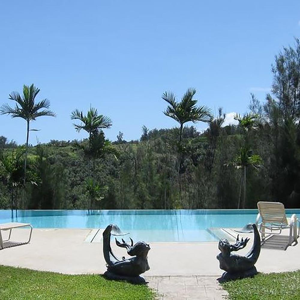 Relax in eco-luxury and enjoy wellness programs by the ocean.