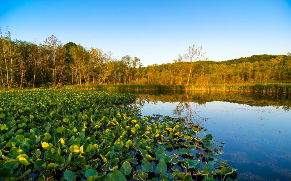 Cuyahoga Valley National Park - 2 hours and 45 minutes from Detroit
