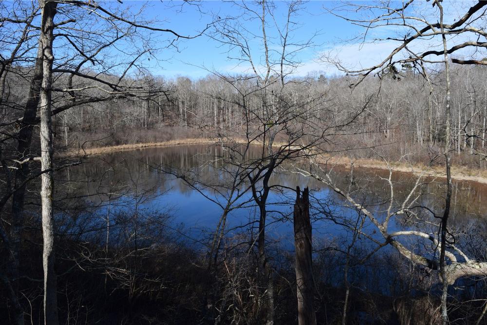 Holly Springs National Forest - 1 hour and 50 minutes from Memphis