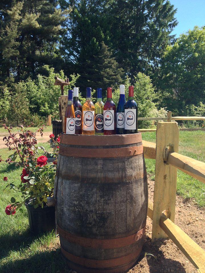 If You Crave Coastal Sips, Relax at Cape Cod Winery
