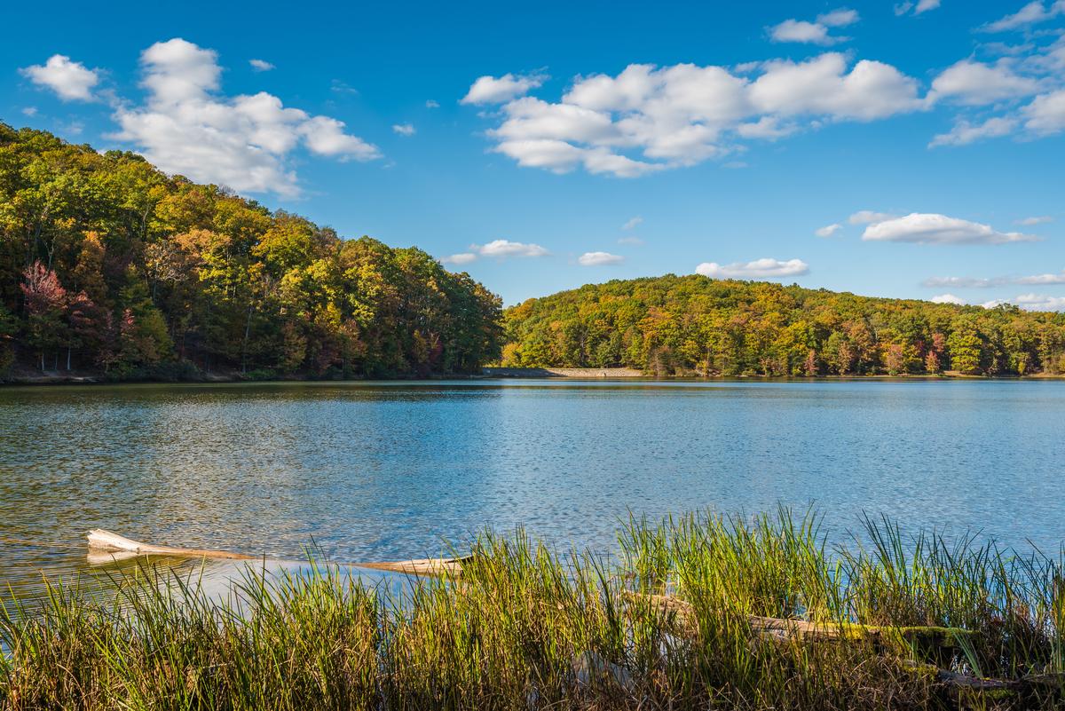 Visit the beach in Greenbrier State Park