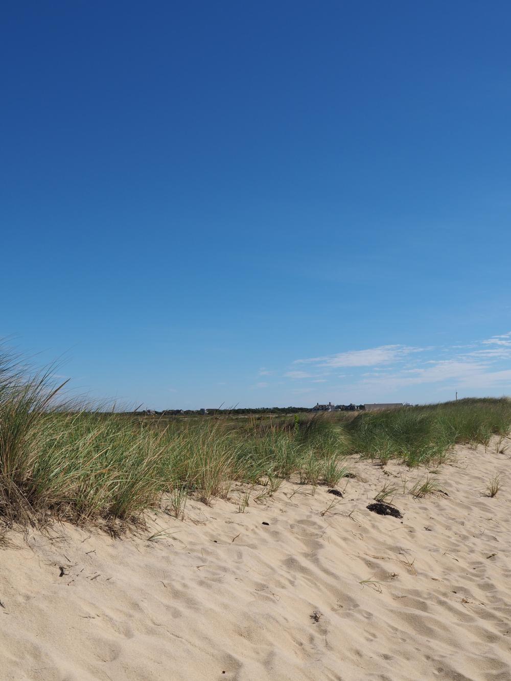 Katama Beach - 15 minute drive or bike ride from Edgartown