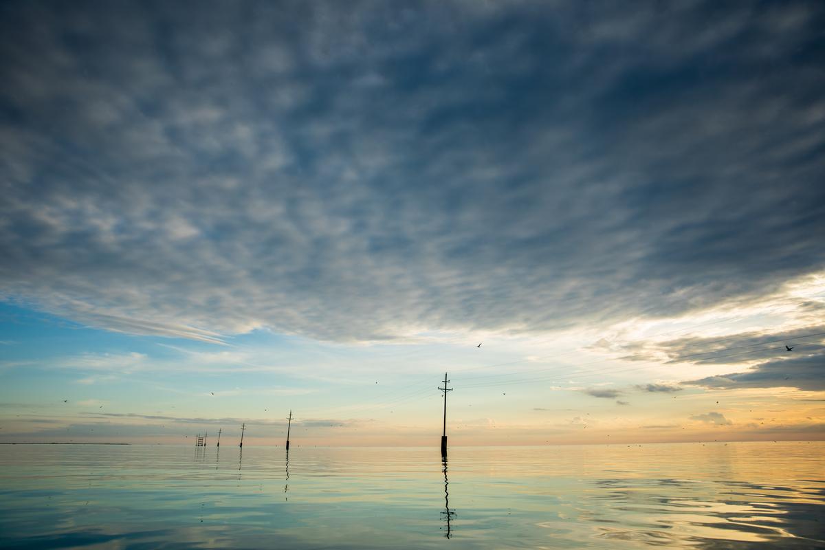 Discover island traditions, savor famous Smith Island cake and local seafood.