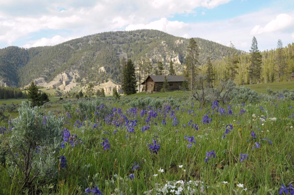 Escape Into Nature’s Quiet at Elkhorn Ranch