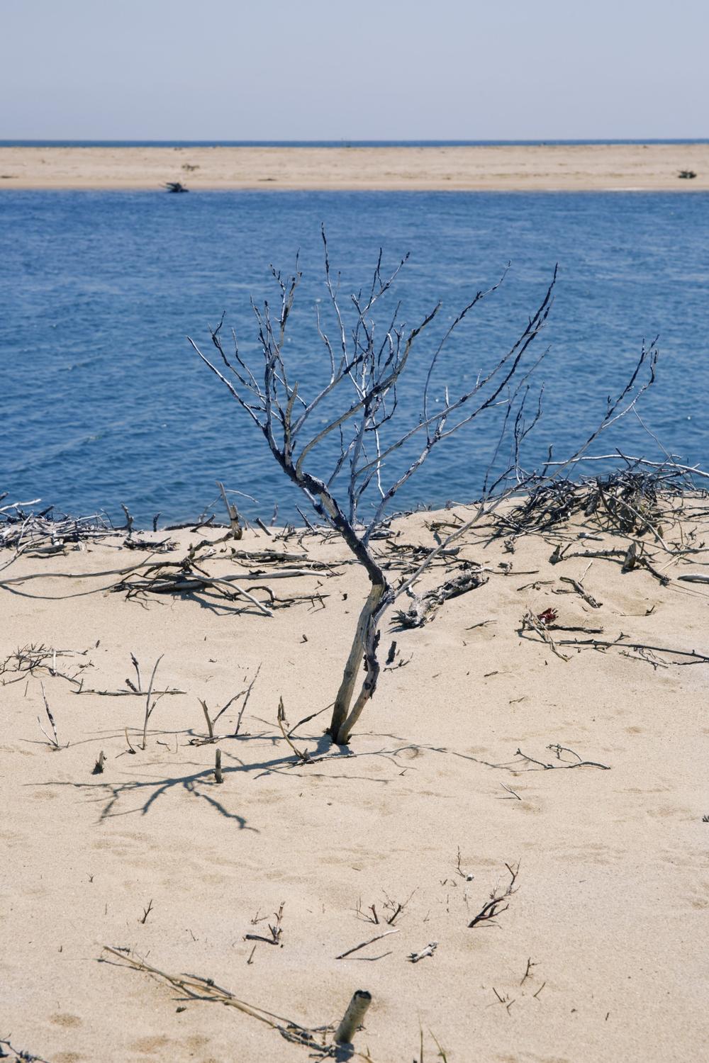 Wasque Beach - 30 minutes from Edgartown