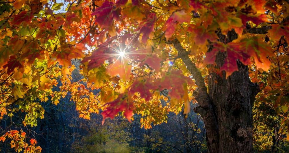 Monroe, North Carolina: Courthouse Squares and Carolina Sunshine