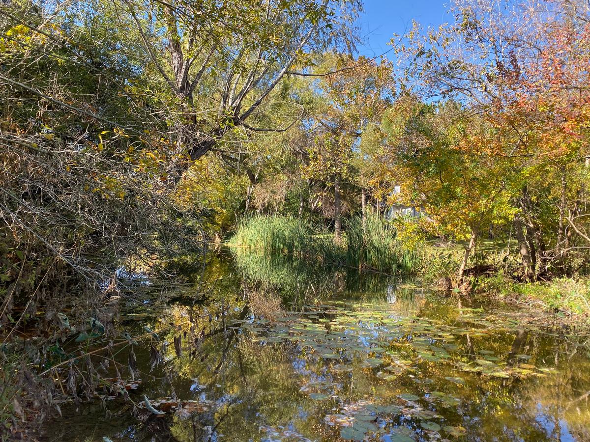 My photo of fall colors with a blue sky on vacation