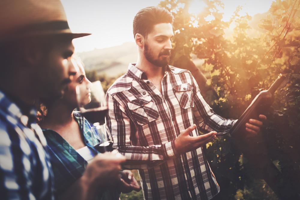 Where Sweet Wine Meets Southern Hospitality: Duplin Winery