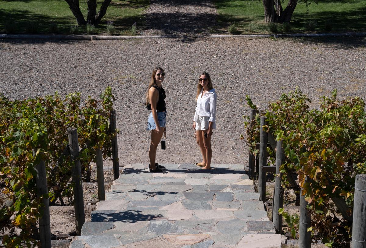 At a vineyard with friend
