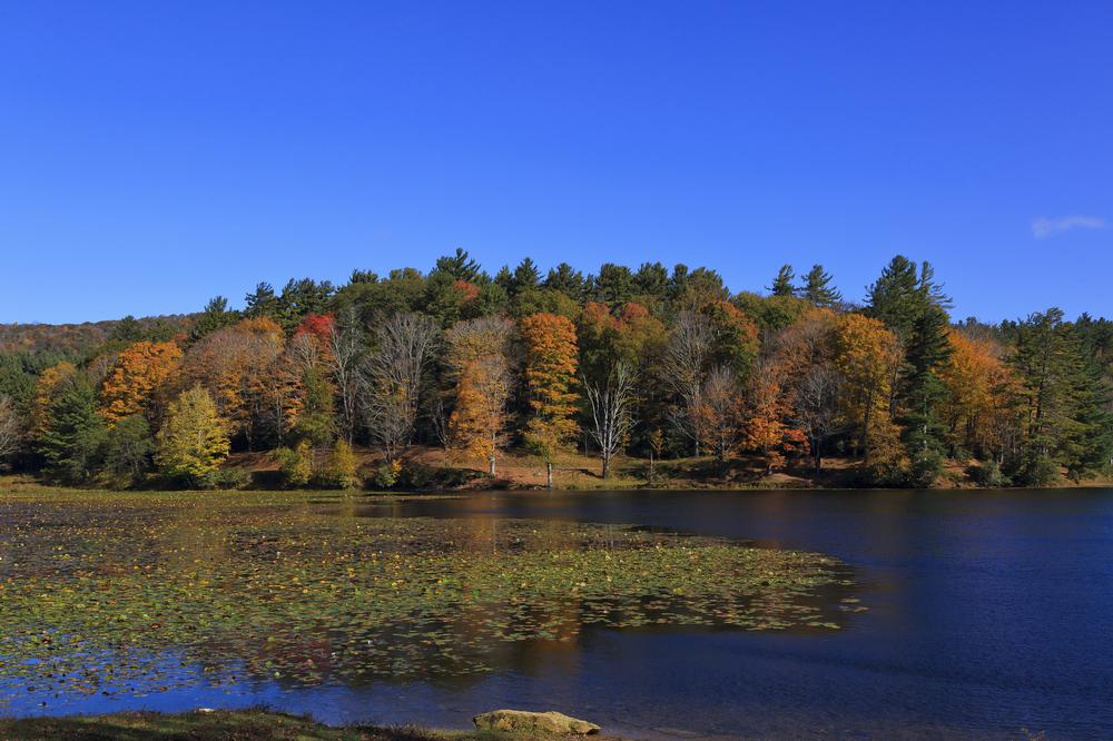 Bass Lake - 2 hours from Asheville