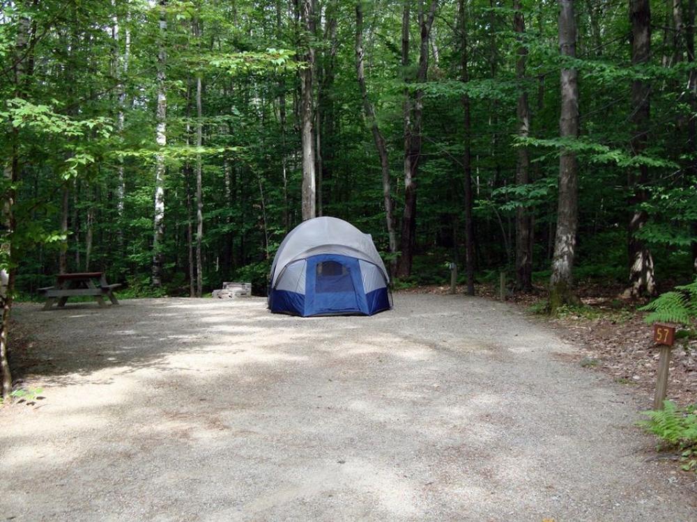 Camp, Relax, and Reconnect at Harbor Hill Camping Area