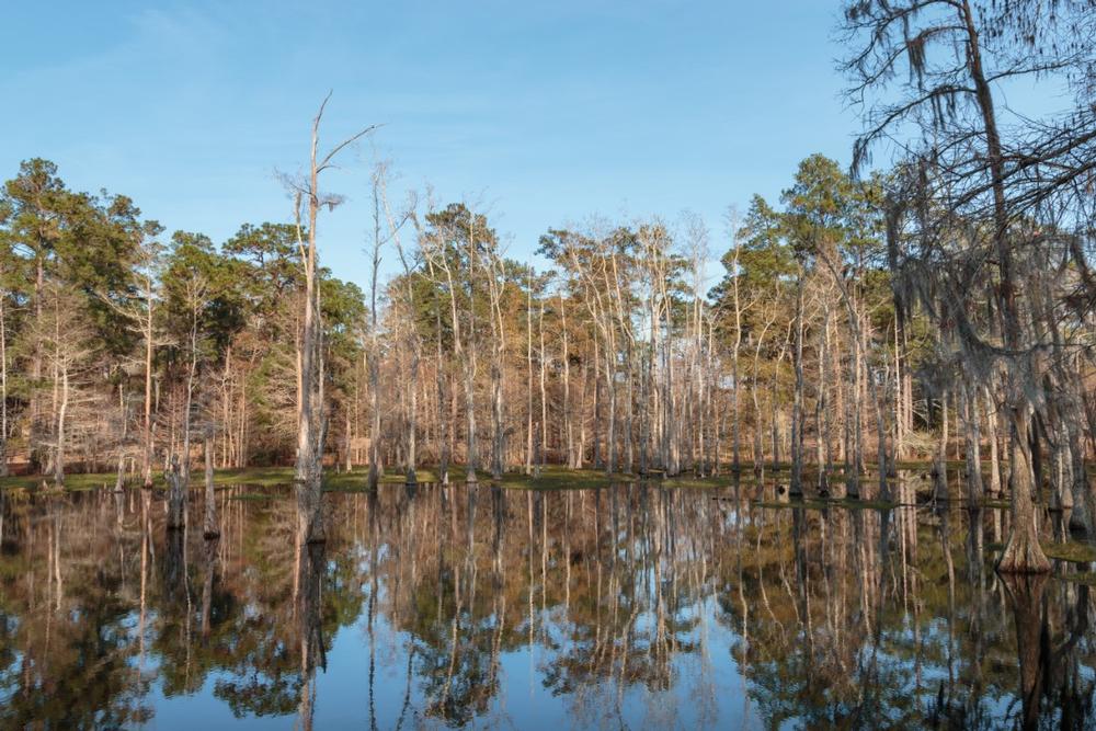 Lake Charles - 3 hours and 15 minutes from New Orleans
