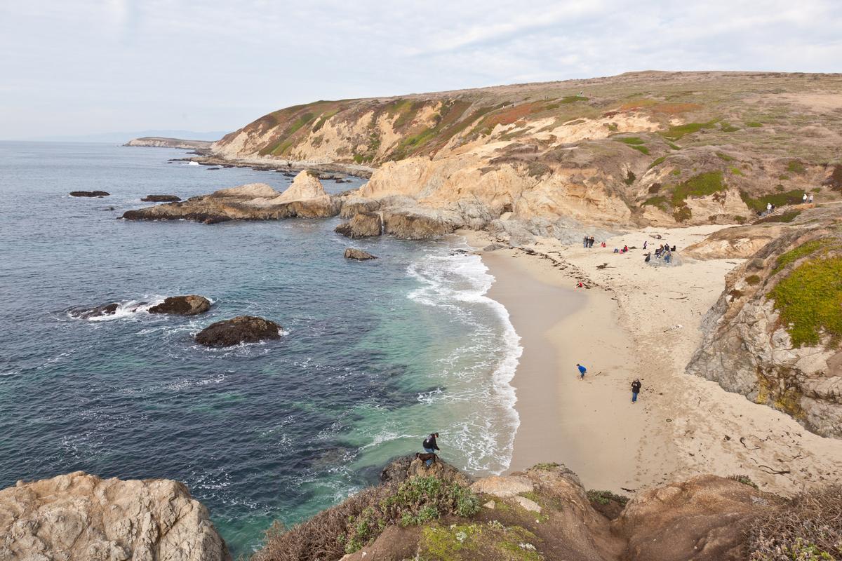Bodega Head sandy beach