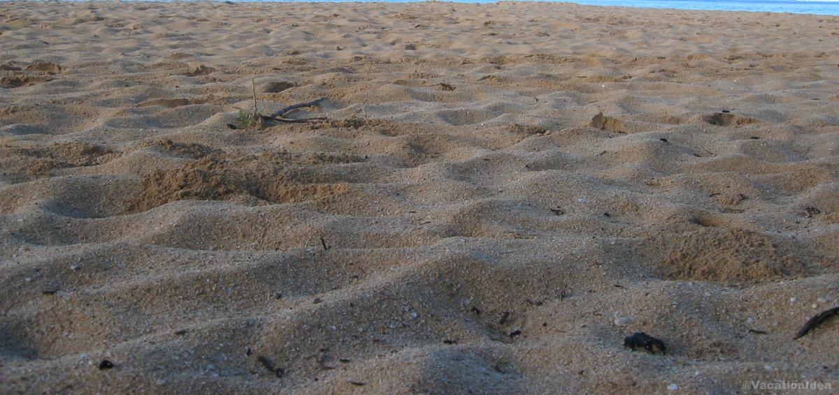 My sandy beach photo in NC