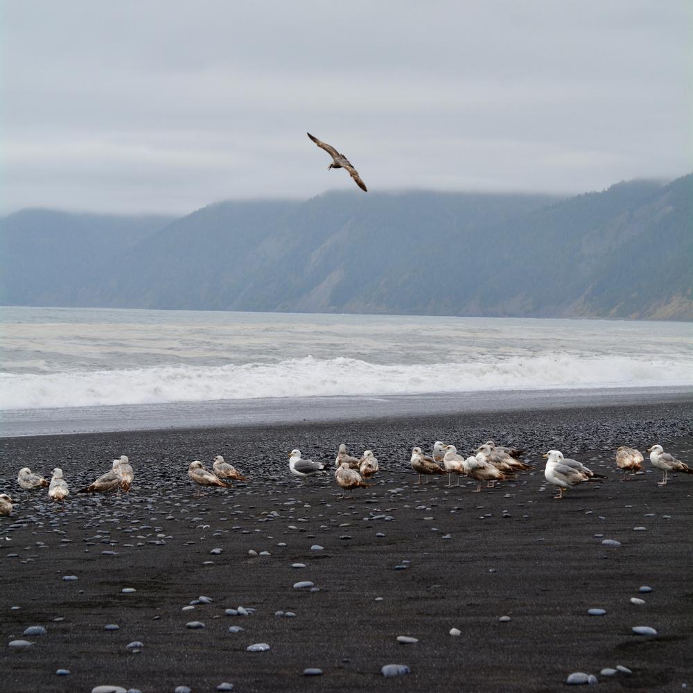 Black Sands Beach