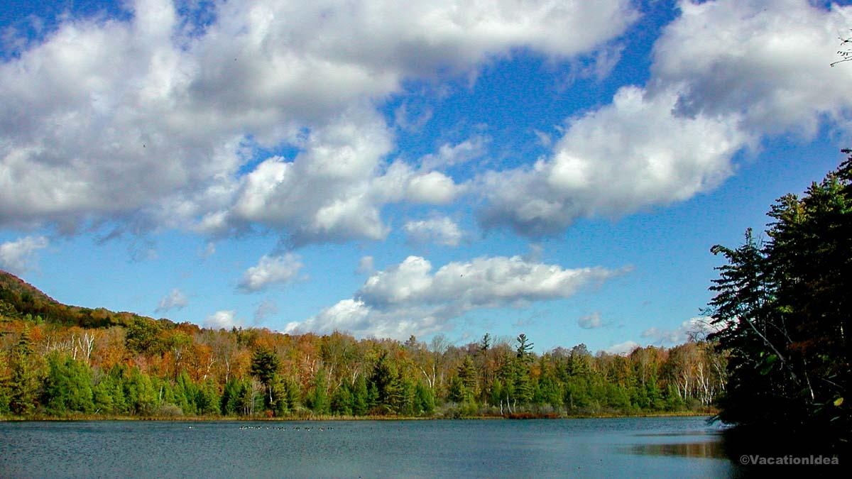 I took this photo while relaxing with a view of fall foliage.