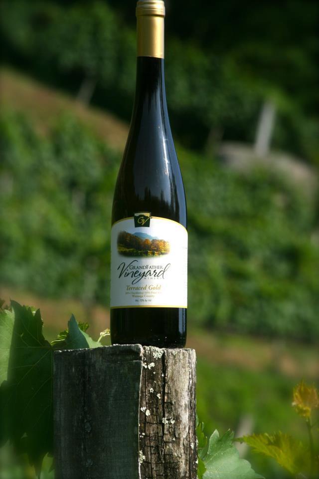 Elevate Your Palate Among Peaks: Grandfather Vineyard & Winery