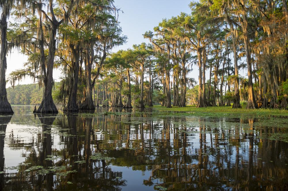 If You Love Mystical Waters and Spanish Moss, Paddle Through Caddo Lake