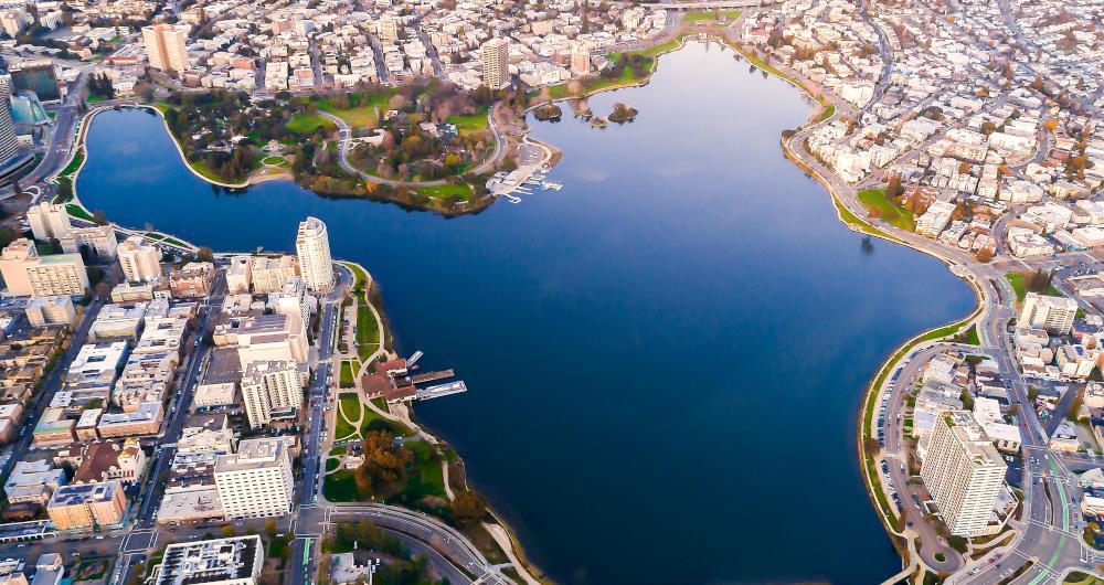 Oakland in Bloom