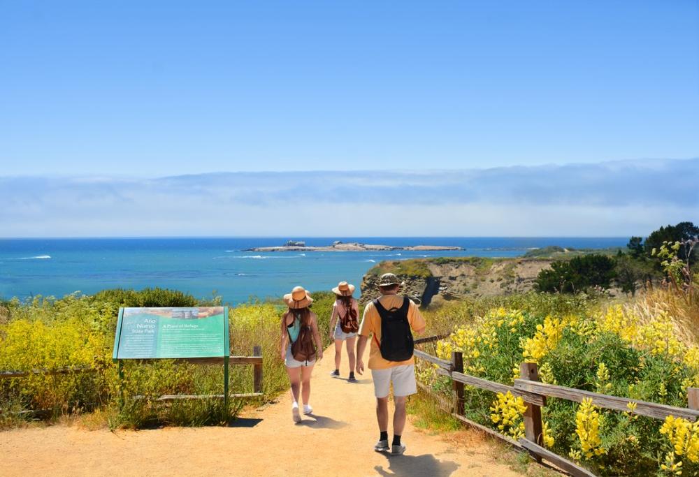See elephant seals and walk coastal dunes on a fascinating winter nature outing.