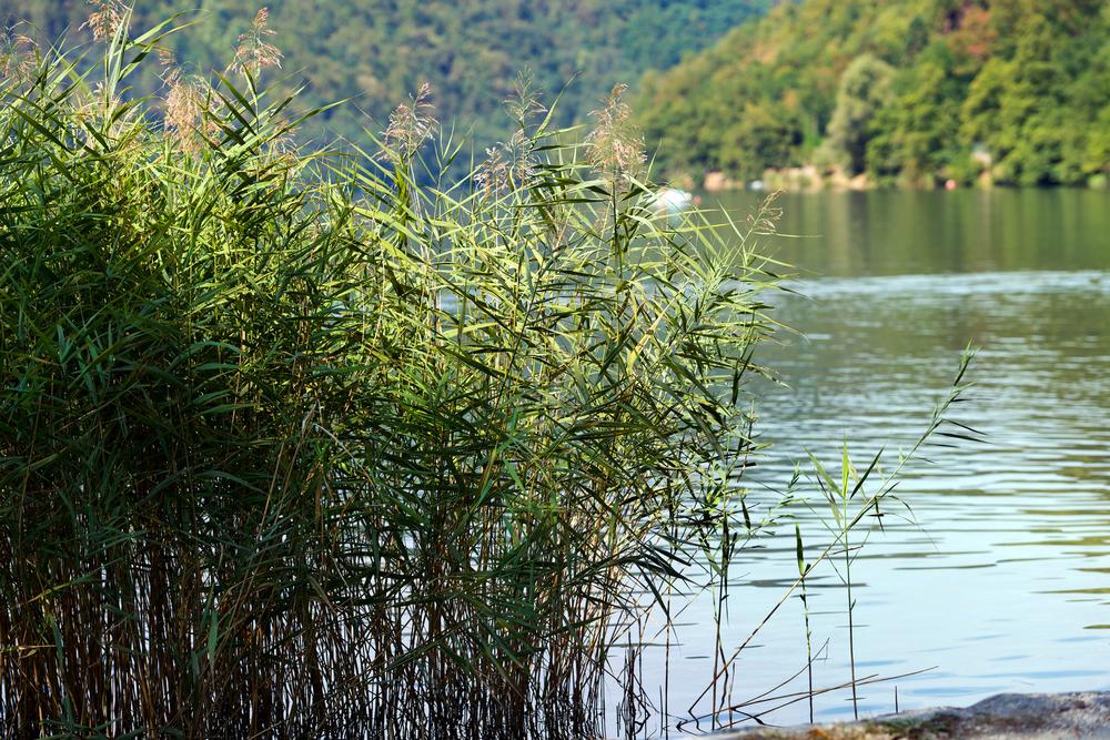 Explore peaceful waters, go canoeing, and admire stunning fall foliage.