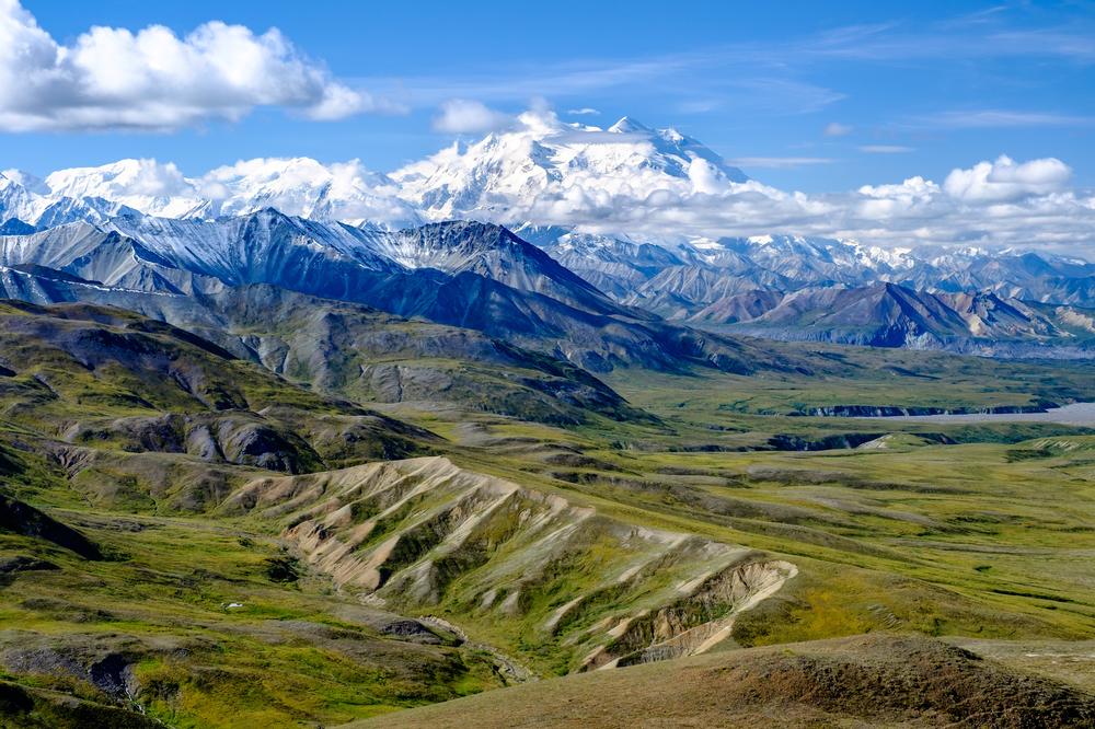 Explore Wild Frontiers and Towering Peaks at Denali National Park