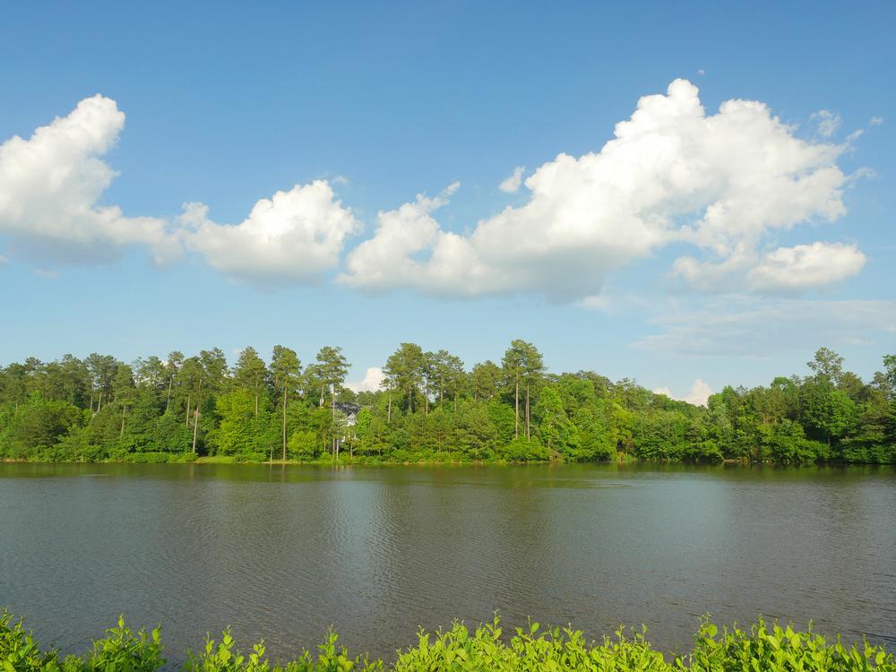 Falls Lake - 10 miles from both Raleigh and Durham