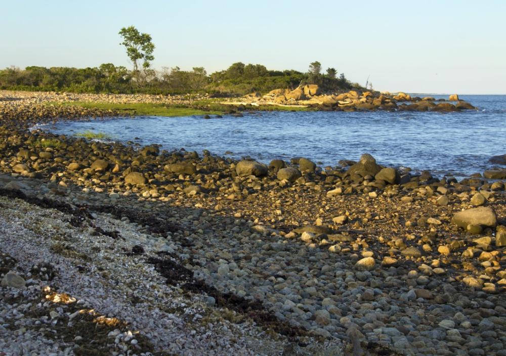 Swim in gentle waves and walk sandy shores on a relaxing weekend outing.