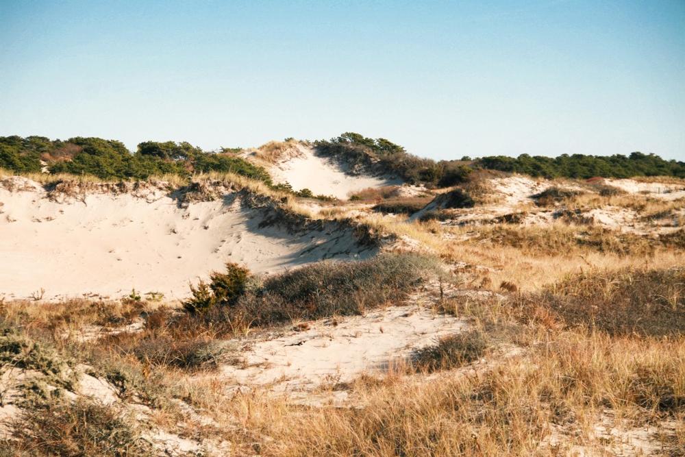 Go beachcombing and sunbathe by the dunes during a laid-back summer escape.