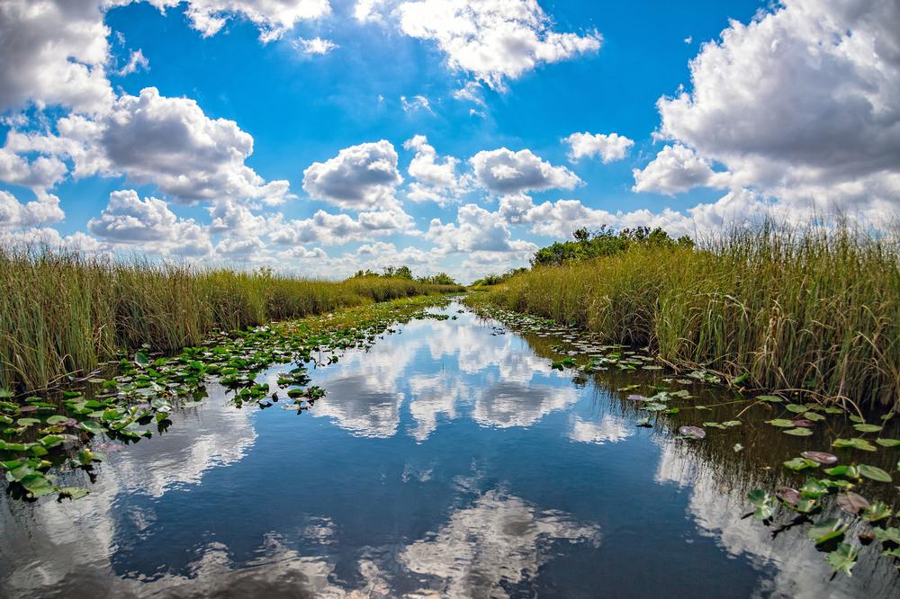 If You Crave Airboat Rides and Wildlife Encounters, Adventure Through the Everglades