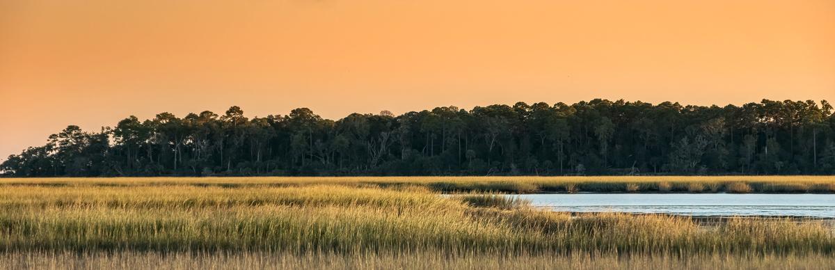 Brunswick’s Marsh Roads & Oyster Quiet